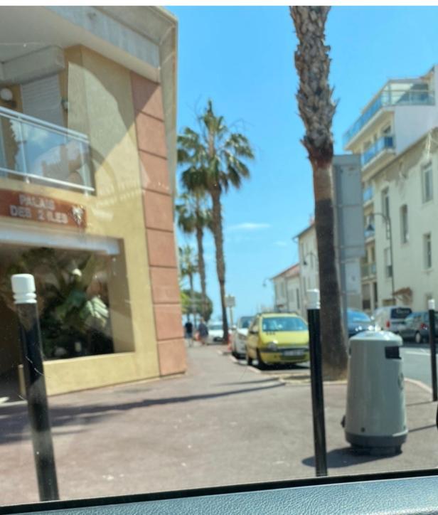 Magnifique 2 Pieces Palm Beach Bord Mer Cannes Bagian luar foto